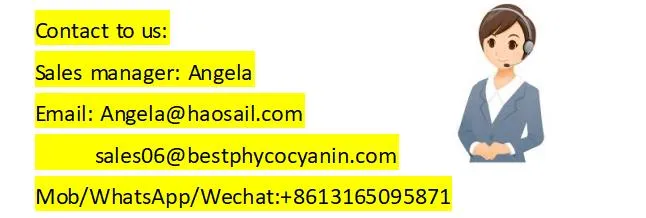Factory Superior 100% Natural Health Food Spirulina Powder Tablets/Conventional Spirulina Powder/Spirulina Tablets