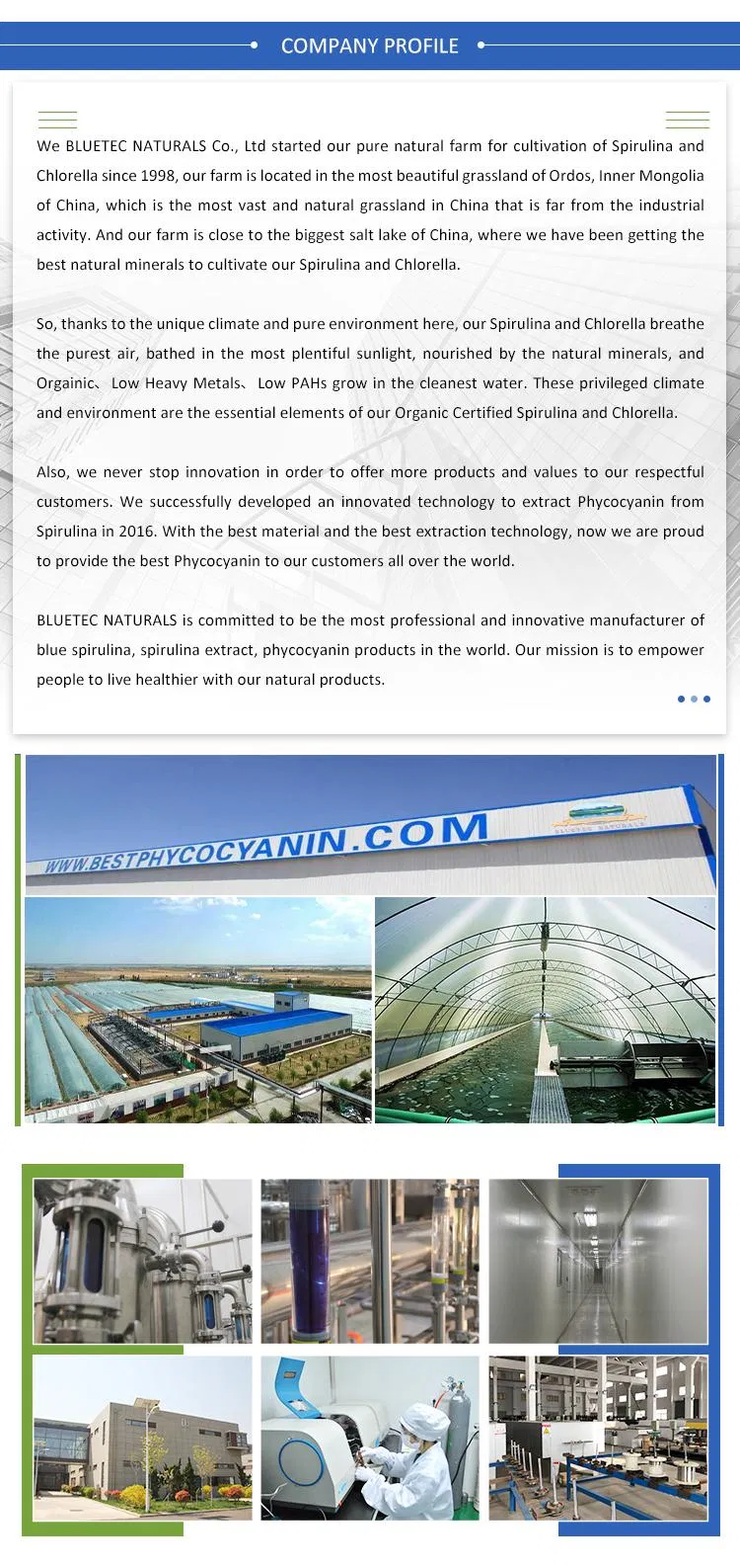 Factory Superior 100% Natural Health Food Spirulina Powder Tablets/Conventional Spirulina Powder/Spirulina Tablets