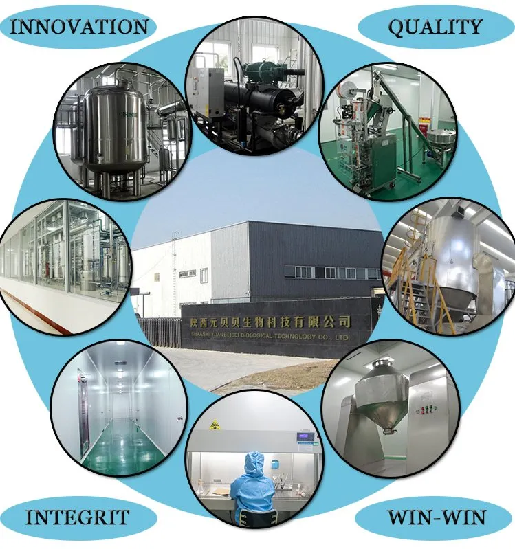 Factory Supply 100% Organic Instant Bulk Matcha Milk Tea Powder