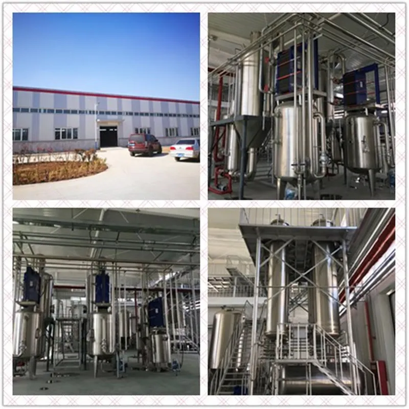 Factory Supply 100% Pure Organic Acai Berry Extract Powder