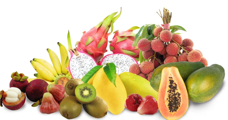 Factory Supply 100% Pure Organic Acai Berry Extract Powder