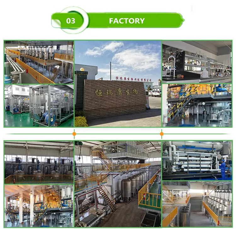 Factory Supply 60% Purity Feed Grade Bulk Choline Chloride
