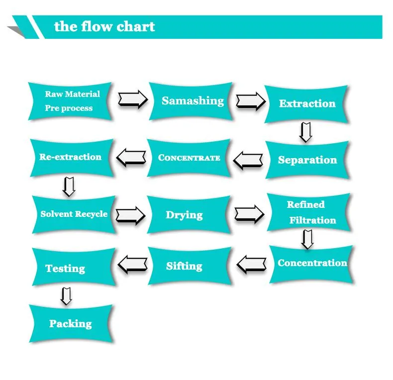 Factory Supply Best Product CAS 3081-61-6 L-Theanine Powder