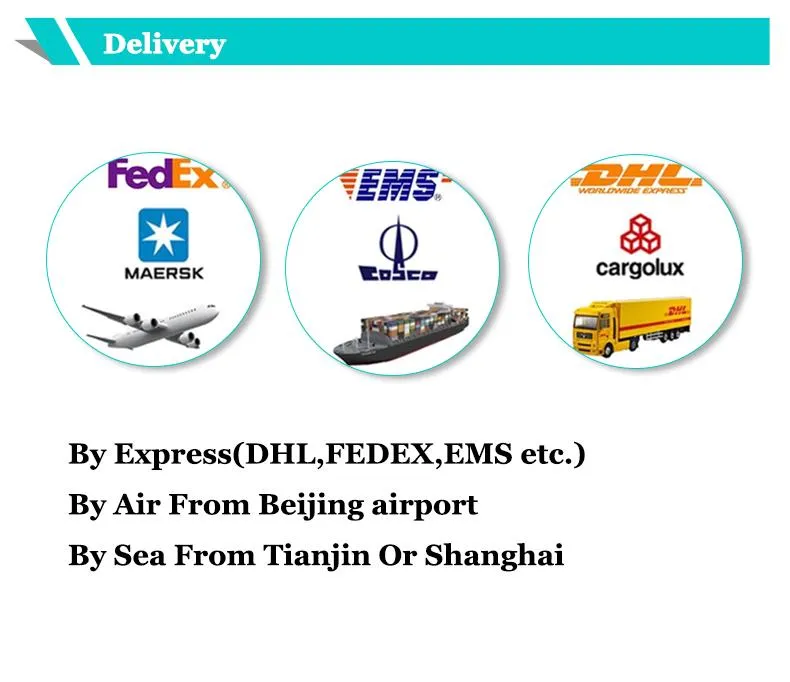 Factory Supply Best Product CAS 3081-61-6 L-Theanine Powder