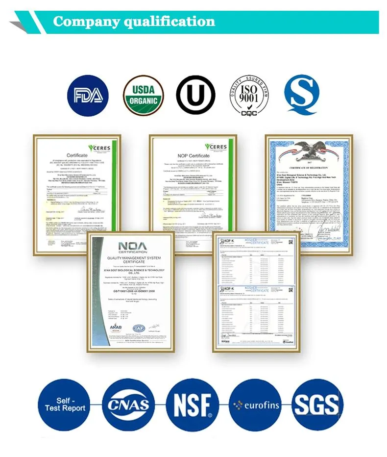 Factory Supply Best Product CAS 3081-61-6 L-Theanine Powder