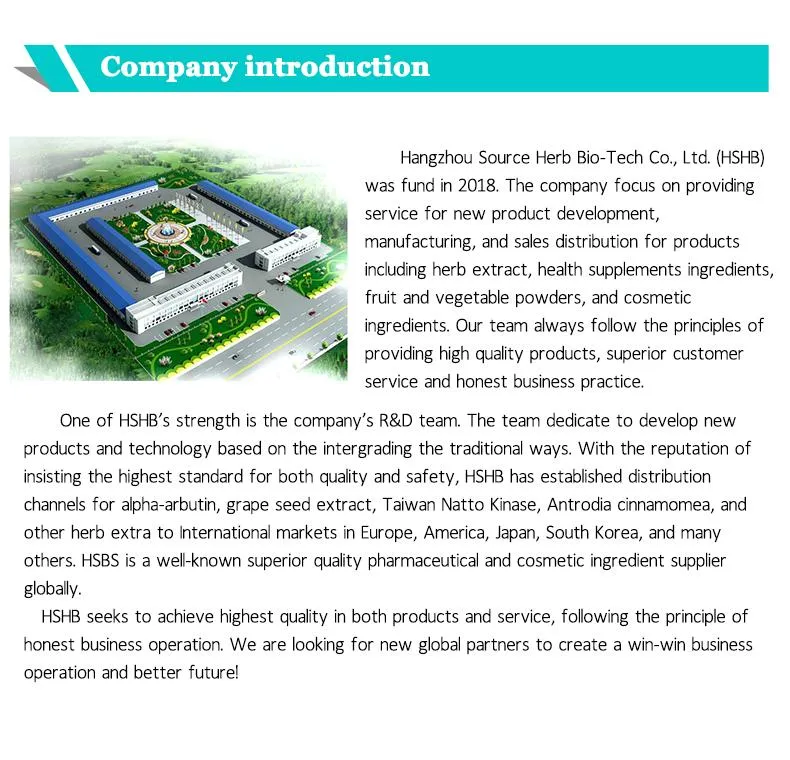 Factory Supply Best Product CAS 3081-61-6 L-Theanine Powder