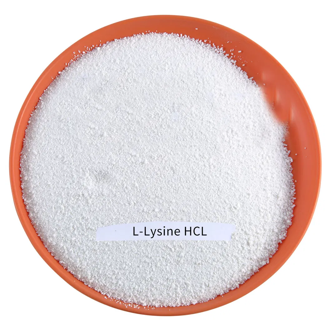 Factory Supply Food Grade Amino Acids L-Lysine/L-Lysine HCl