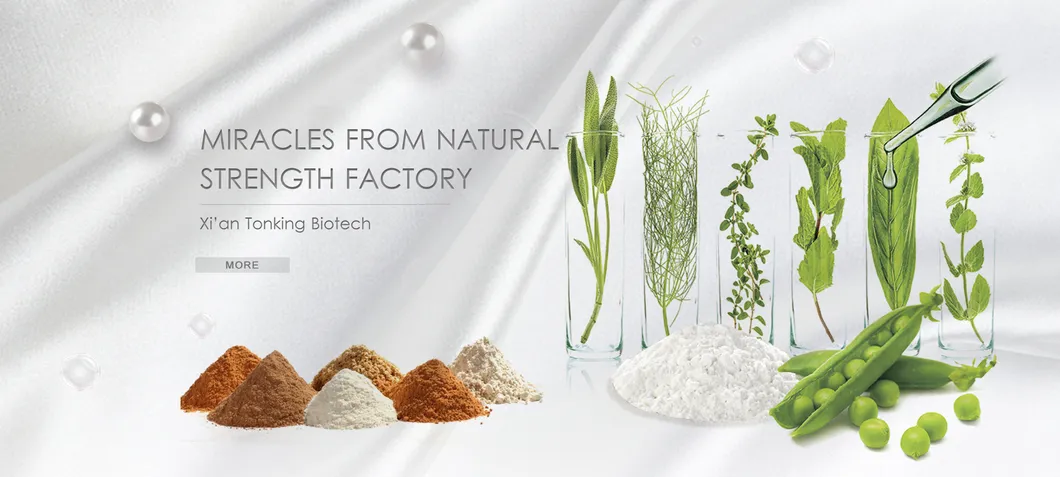 Factory Supply Gynostemma Extract Powder 98% Gypenosides