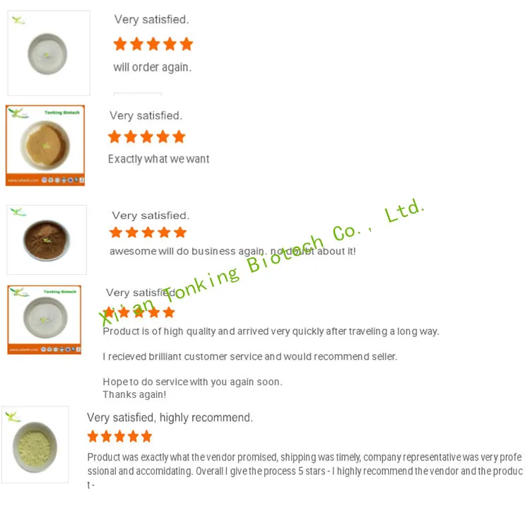 Factory Supply Gynostemma Extract Powder 98% Gypenosides
