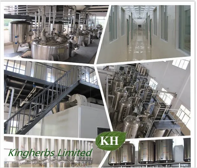 Factory Supply High Nutritious Kiwi Fruit Extract Vitamin C