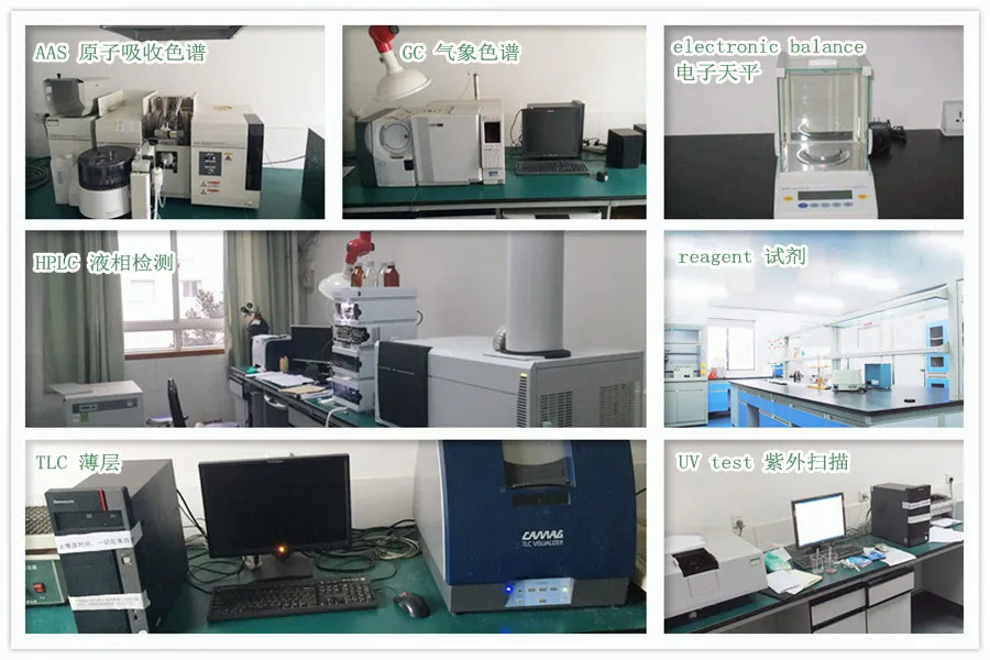 Factory Supply Lemon Balm Leaf Extract Melissa Officinalis Powder