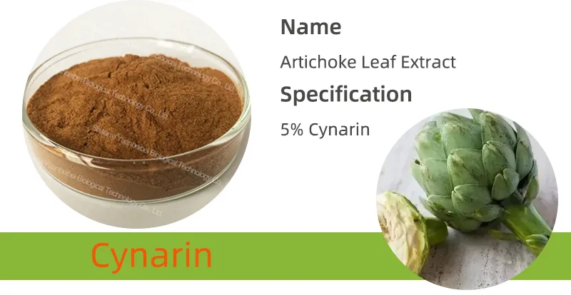 Factory Supply Natural Artichoke Leaf 5% Cynarin Extract Powder