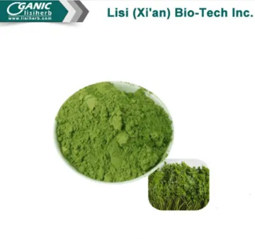 Factory Supply Natural Best Moringa Leaf Powder