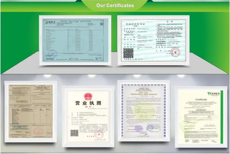 Factory Supply Nature Papaya Extract 10: 1