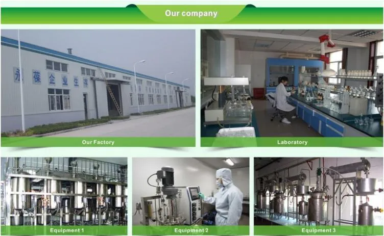 Factory Supply Nature Papaya Extract 10: 1