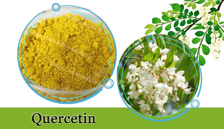 Factory Supply Pharmaceutical Grade Sophora Japonica Extract Quercetin 98% Powder