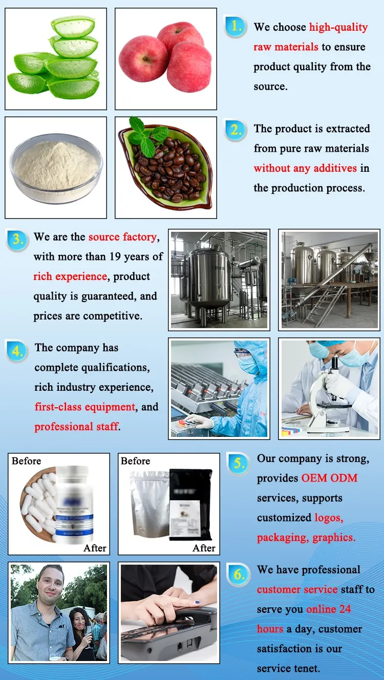 Factory Supply Pharmaceutical Grade Sophora Japonica Extract Quercetin 98% Powder