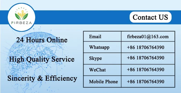 Factory Supply Pharmaceutical Grade Sophora Japonica Extract Quercetin 98% Powder