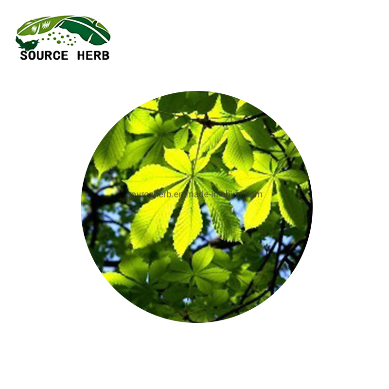 Factory Supply Pure Natural High Quality Horse Chestnut Extract Aescin