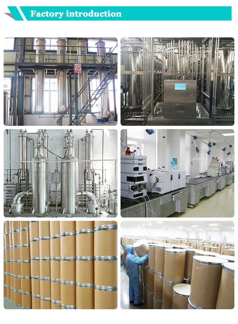 Factory Supply Pure Natural High Quality Horse Chestnut Extract Aescin