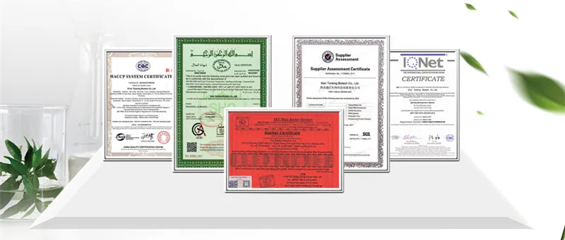 Factory Supply Red Pepper Extract Powder 98% Capsaicin Synthetic Capsaicin Powder