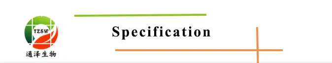 Factory Supply Yi Mu Cao Extract Motherwort Extract 10: 1 Tlc with The Best Price