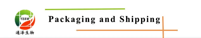 Factory Supply Yi Mu Cao Extract Motherwort Extract 10: 1 Tlc with The Best Price