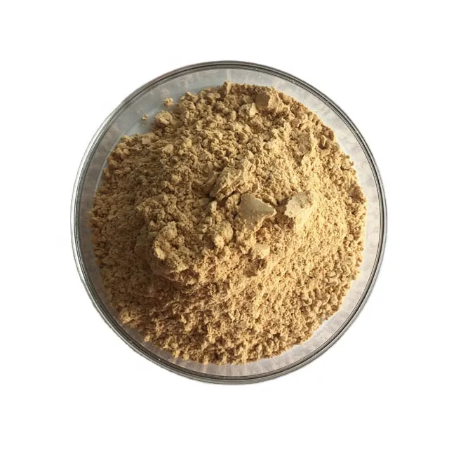 Factory Wholesale Pure Natural Organic Mushroom Powder