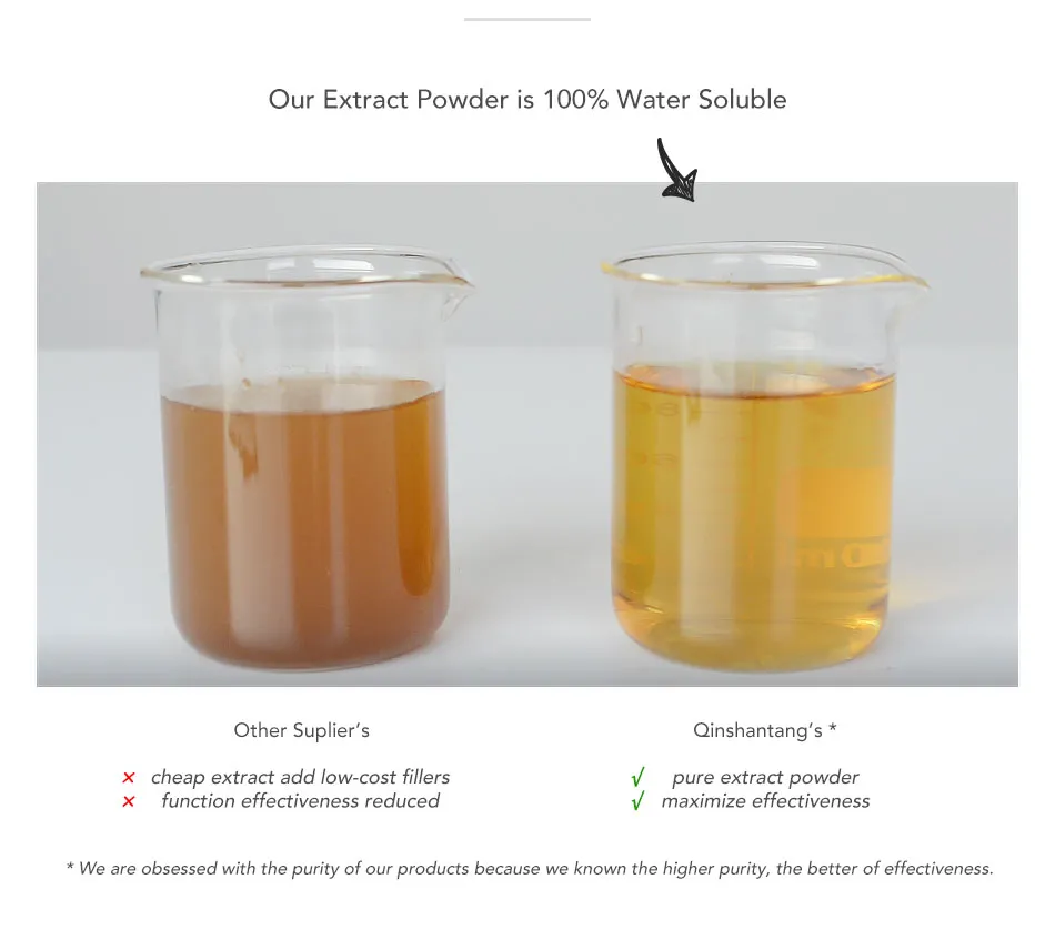 Factory Wholesale Pure Natural Organic Mushroom Powder