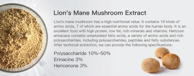 Factory Wholesale Pure Natural Organic Mushroom Powder