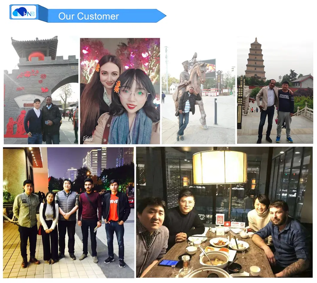 Feed Additive CAS 107-43-7 Betaine Anhydrous with Best Price