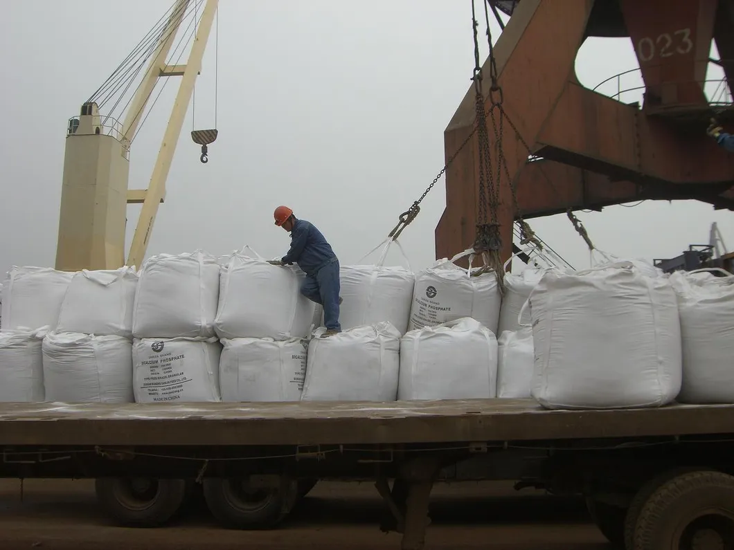 Feed Additives 80% Vitamin B2 B6 Riboflavin Powder