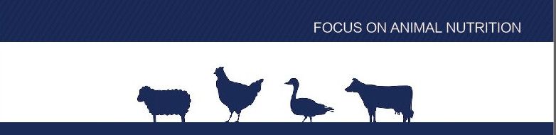 Feed Grade 82% Feather Meal with High Protein for Animal Nutrition