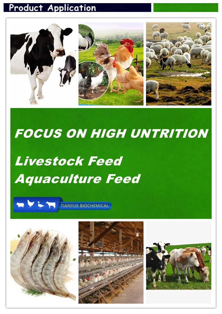 Feed Grade Vitamin B9/Folic Acid for Animal Feed