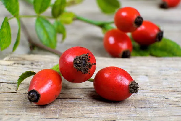 Fine Cut Rosehips Plant/Flower/Herb Extract