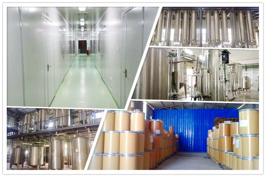 Flower Camellia Japonica Extract by Tlc 20: 1 10: 1