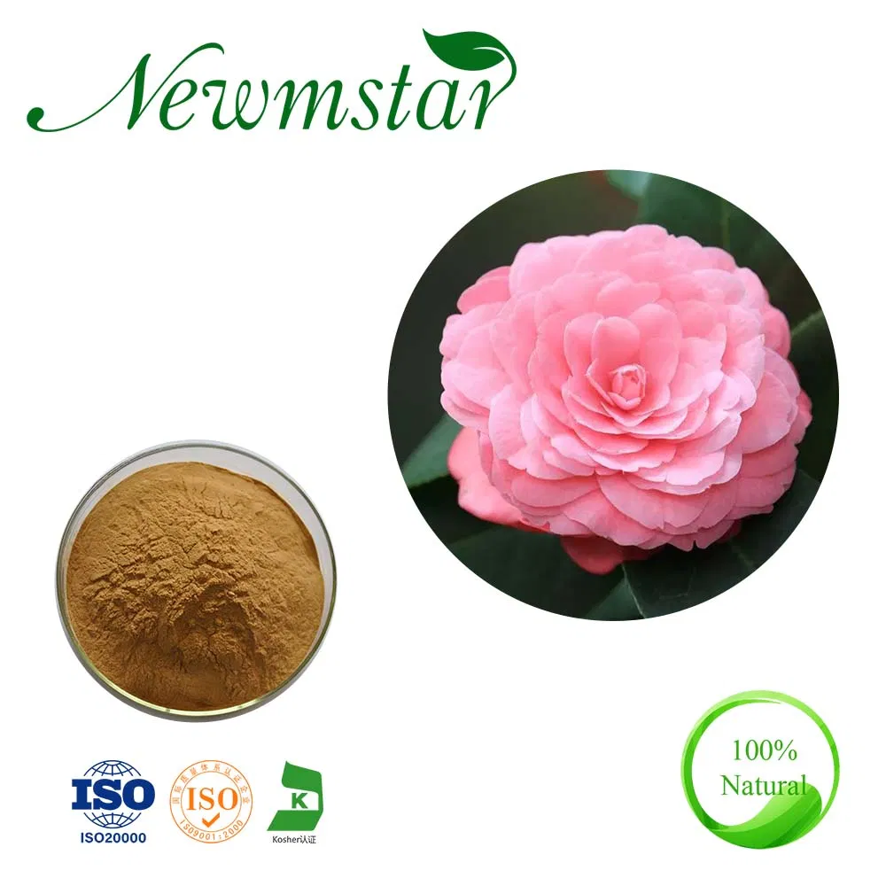 Flower Camellia Japonica Extract by Tlc 20: 1 10: 1