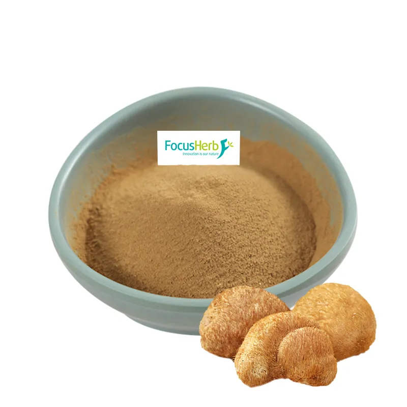 Focusherb Natural Lion′ S Mane Hericium Erinaceus Mushroom Extract Beta Glucan