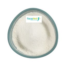 Focusherb Natural Noni Fruit Juice Powder Noni Fruit Powder