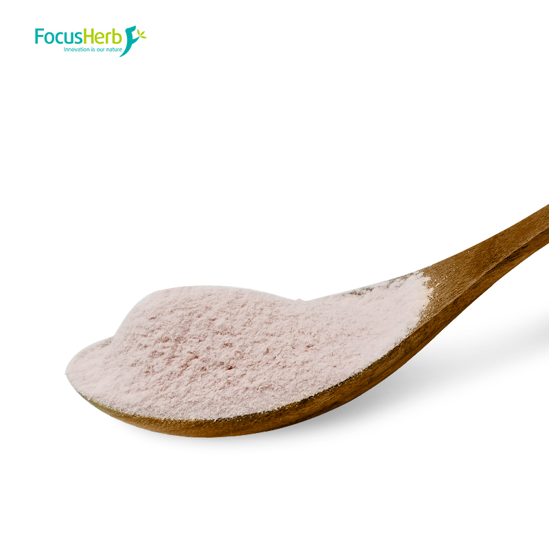 Focusherb Spray Drying Fruit Powder SD Prune Powder