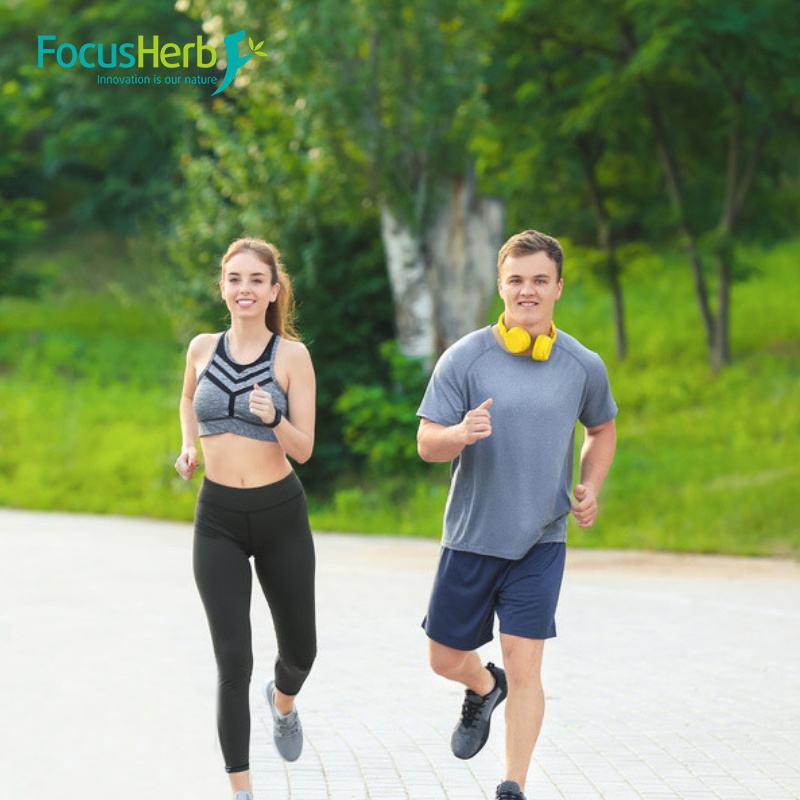 Focusherb Supply 10: 1 Extract Ratio Neem Extract Powder