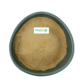 Focusherb Supply 10: 1 Extract Ratio Neem Extract Powder