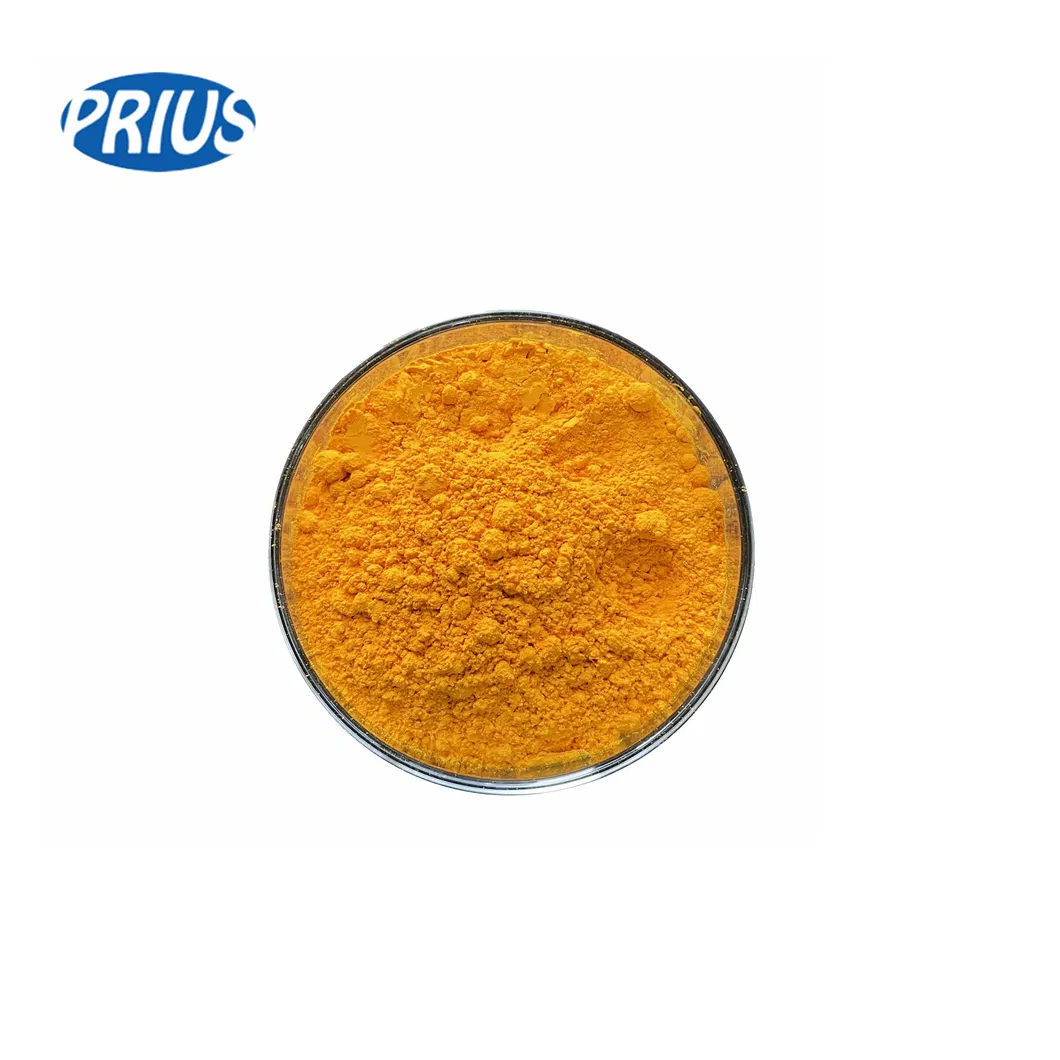 Food Additive Curcumin 95% Turmeric Root Extract Powder Turmeric