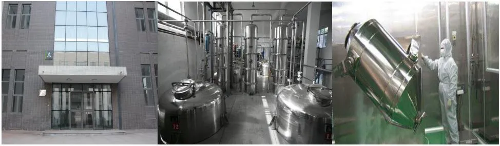 for Relexing and Calm Natural Green Tea Extract Powder L-Theanine 99%