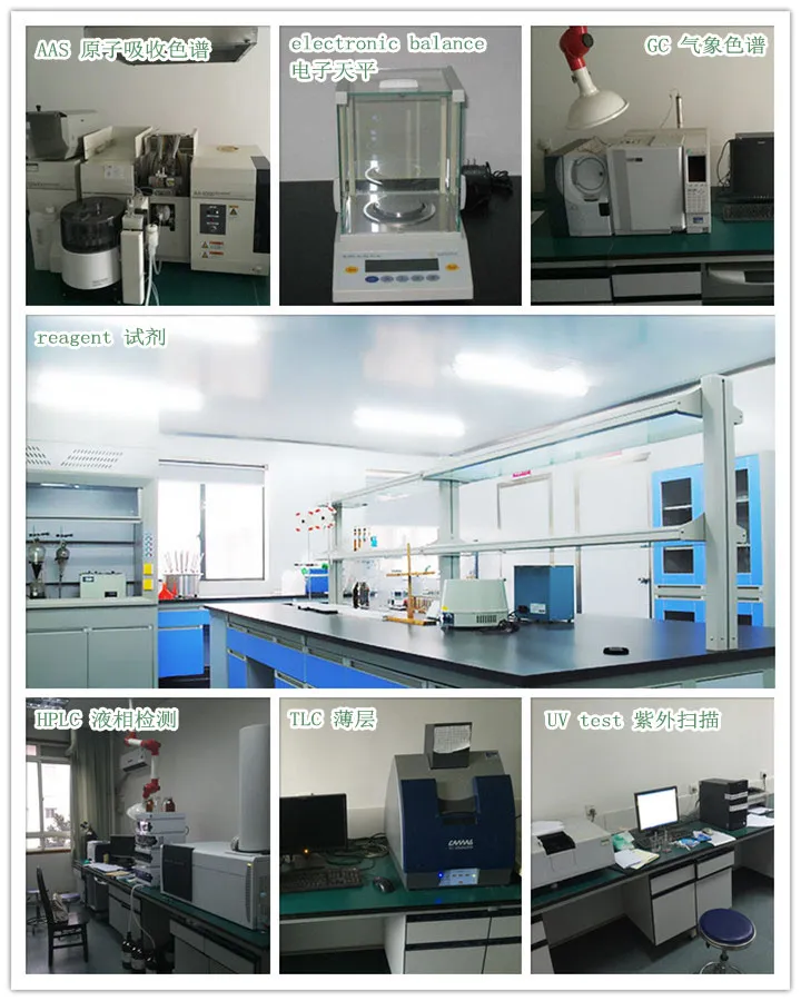 Fruit Extract Powder Coconut Extract