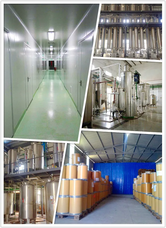 Fruit Extract Powder Coconut Extract