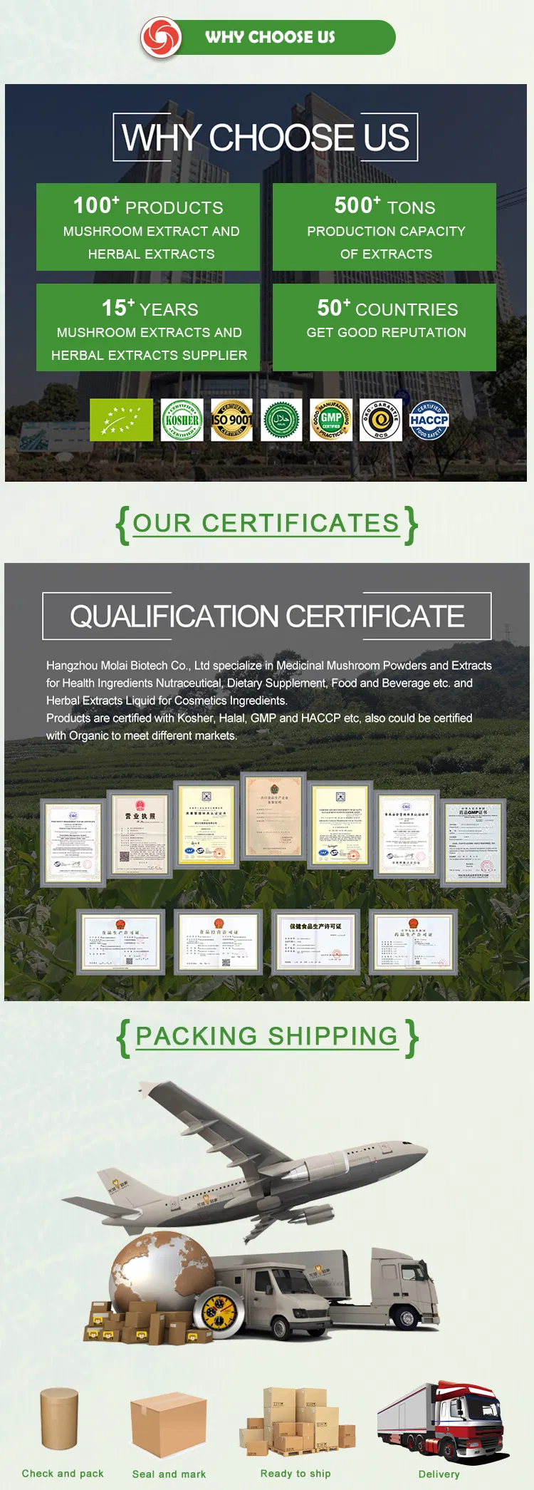 Ginkgo Biloba Leaf Extract Powder to Imporve Memory and Concentration as Functional Food Supplement