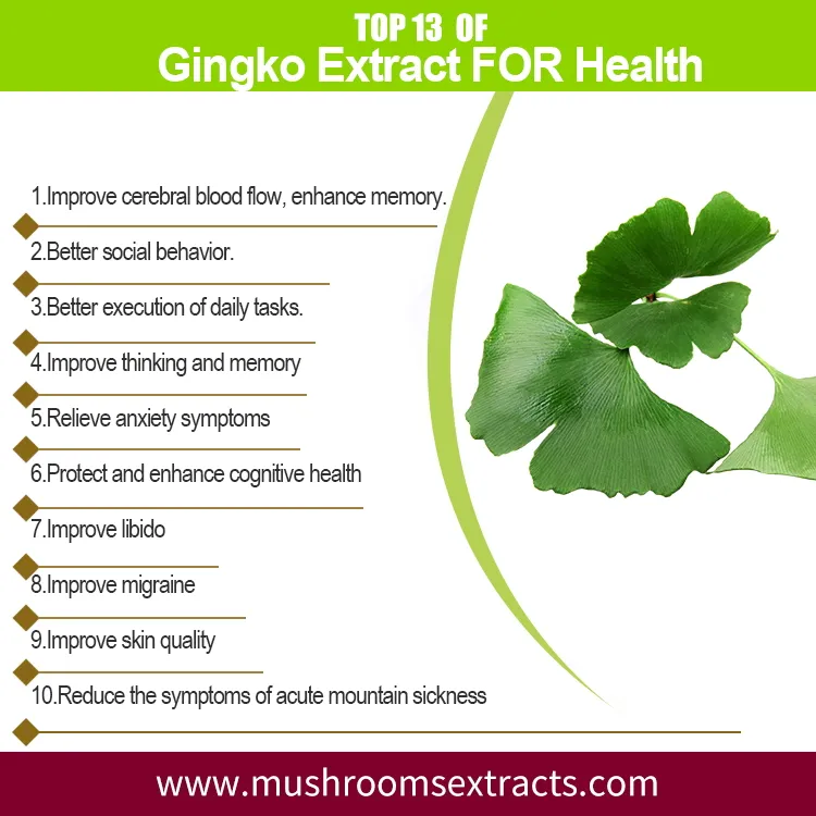 Ginkgo Biloba Leaf Extract Powder to Imporve Memory and Concentration as Functional Food Supplement