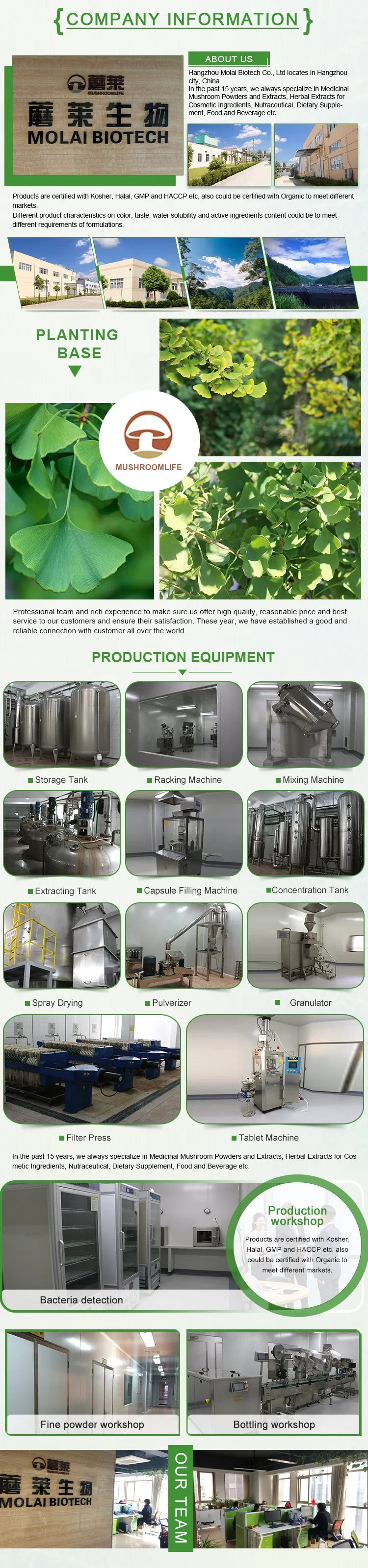 Ginkgo Biloba Leaf Extract Powder to Imporve Memory and Concentration as Functional Food Supplement