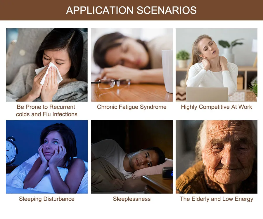 Ginkgo Biloba Leaf Extract Powder to Imporve Memory and Concentration as Functional Food Supplement